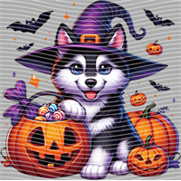 Halloween-WS 5825